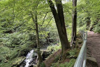 NetWalk - Healey Dell, Rochdale