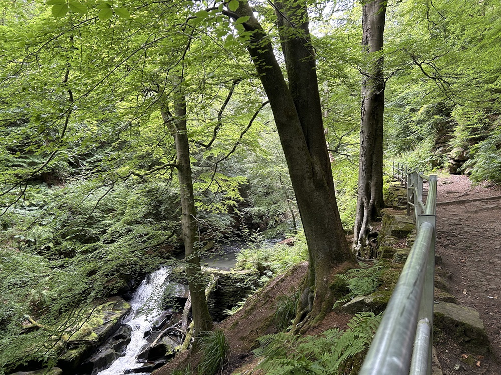 Image: NetWalk - Healey Dell, Rochdale