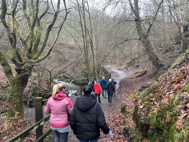 Image: NetWalk - Healey Dell, Rochdale