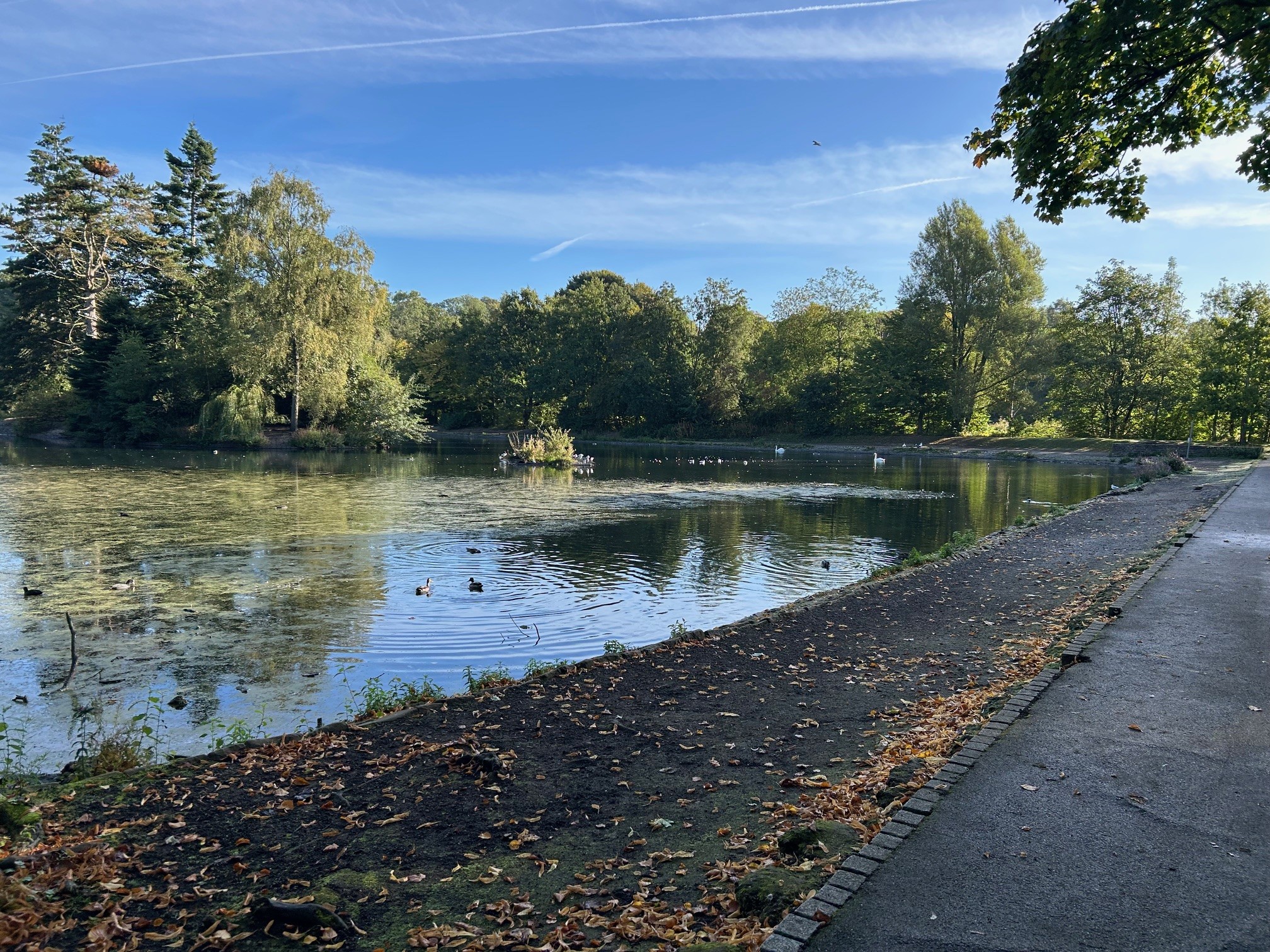 Image: NetWalk - Queen’s Park, Heywood